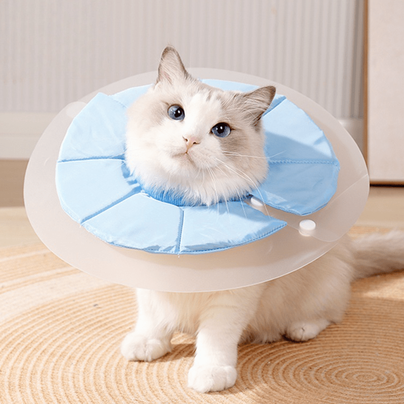 Extended Double - Layer Elizabeth Collar Cat Recovery Cone - PIKAPIKA