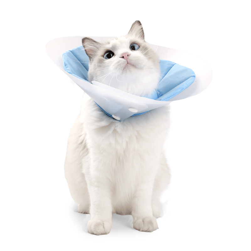 Extended Double - Layer Elizabeth Collar Cat Recovery Cone - PIKAPIKA