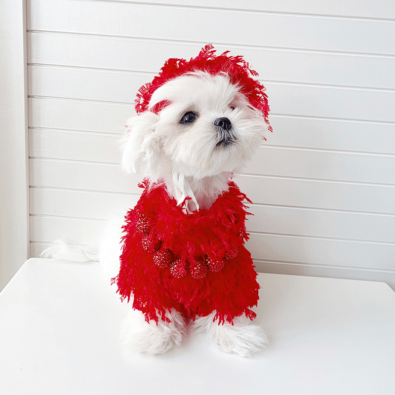 Fancy Dog Clothes Pullover Knit Sweater Small Dog Wear - PIKAPIKA