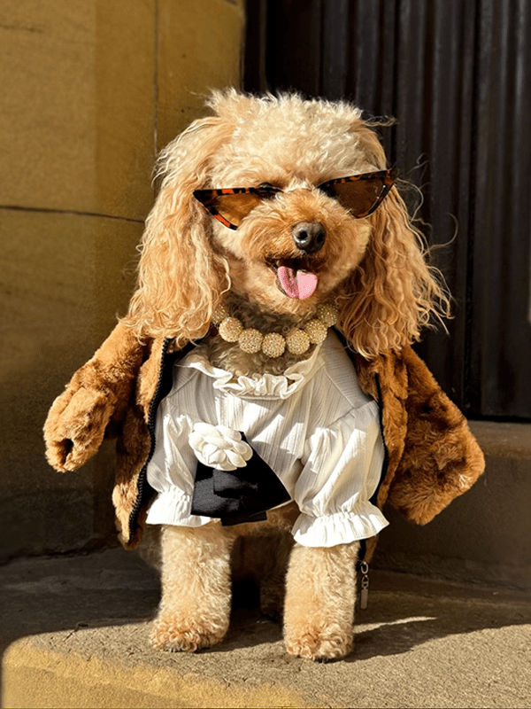 Faux Fur Zip Coat Jacket Dog Clothes Hot Likes - PIKAPIKA
