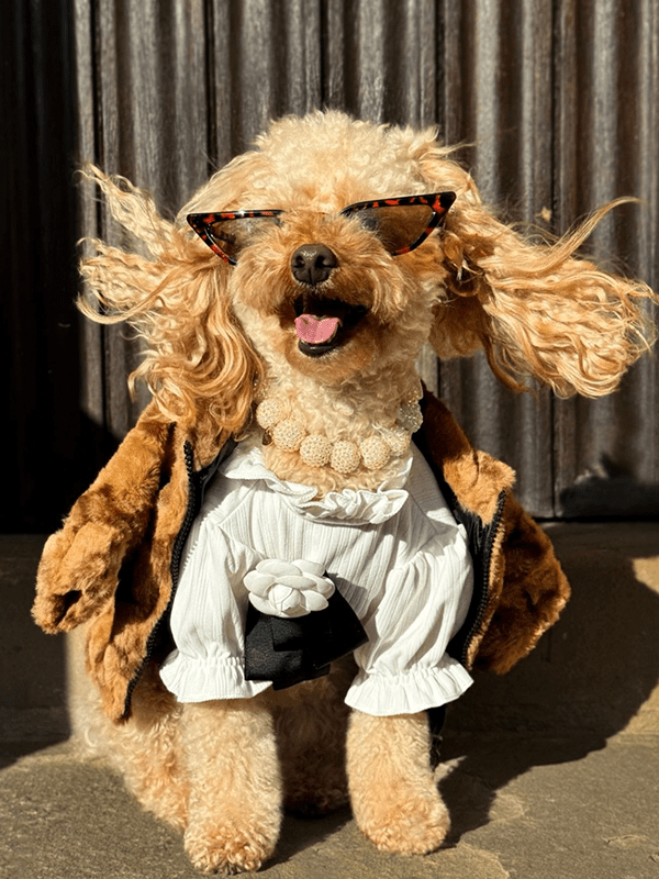 Faux Fur Zip Coat Jacket Dog Clothes Hot Likes - PIKAPIKA