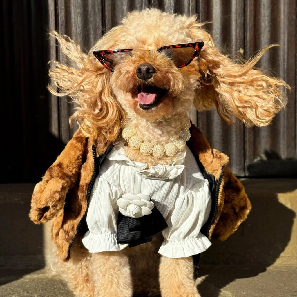 Faux Fur Zip Coat Jacket Small Dog Clothes - PIKAPIKA