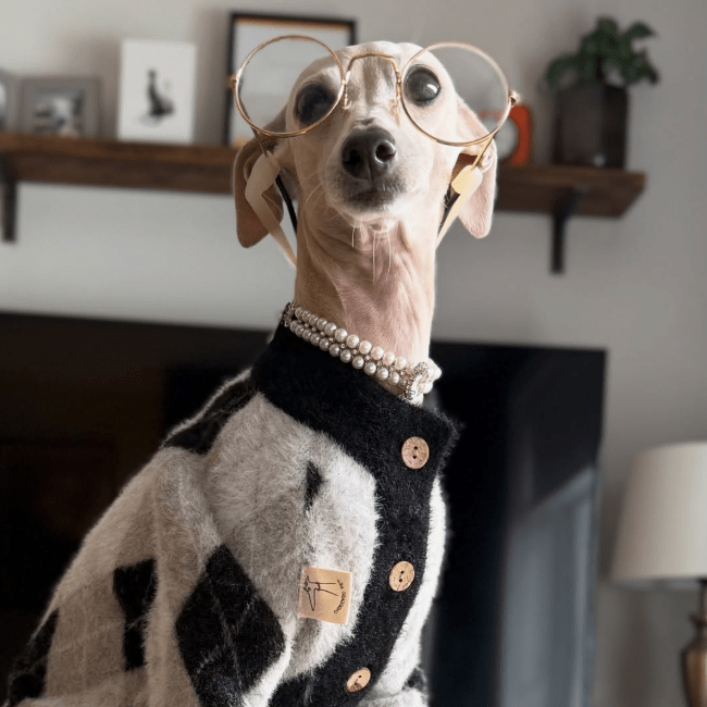 Faux Mink Cardigan Dog Sweater Knit Plush for Italian Greyhound Clothes - PIKAPIKA