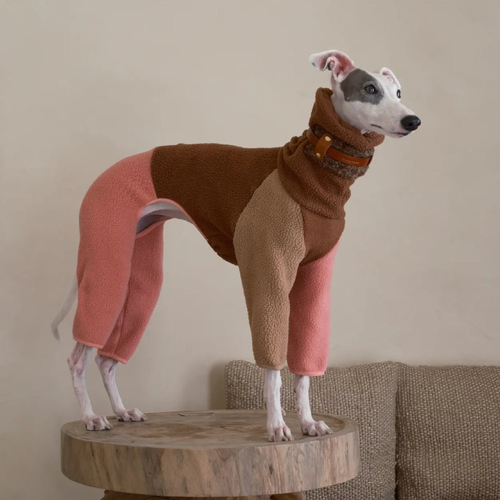 Fleece 4 Legs Onesies for Italian Greyhound Whippet Turtleneck Clothes - PIKAPIKA