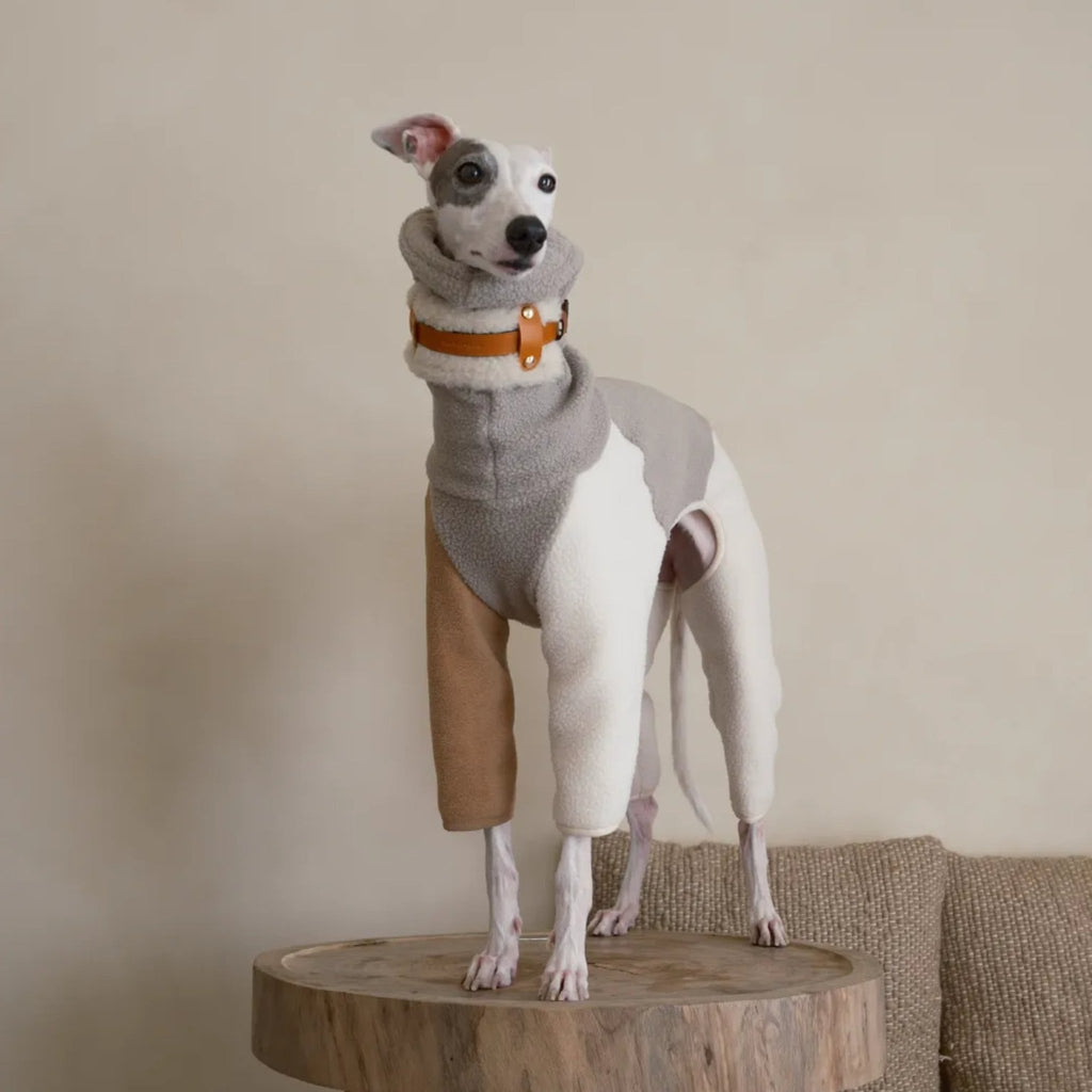 Fleece 4 Legs Onesies for Italian Greyhound Whippet Turtleneck Clothes - PIKAPIKA