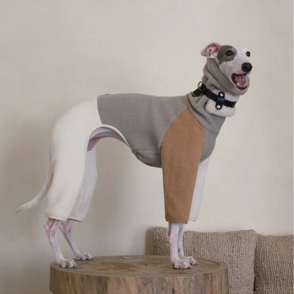 Fleece 4 Legs Onesies for Italian Greyhound Whippet Turtleneck Clothes - PIKAPIKA