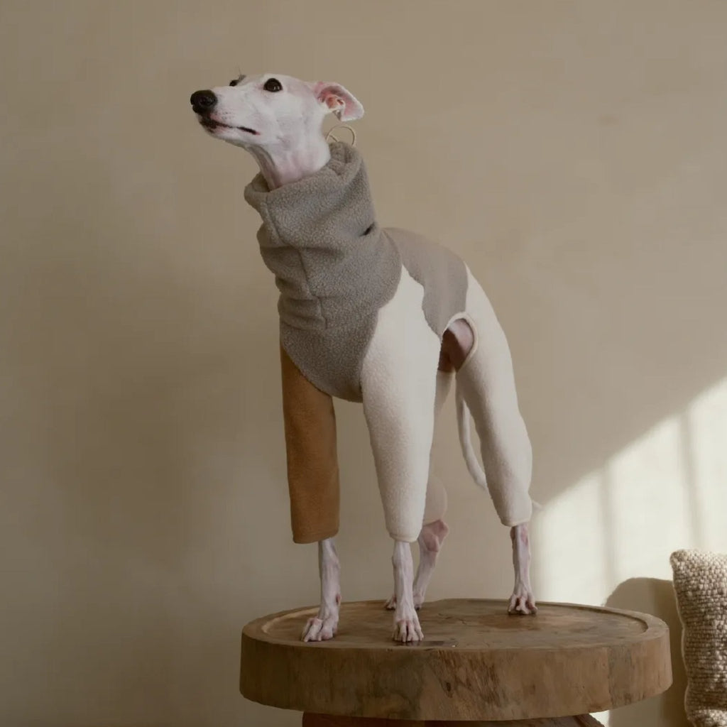 Fleece 4 Legs Onesies for Italian Greyhound Whippet Turtleneck Clothes - PIKAPIKA