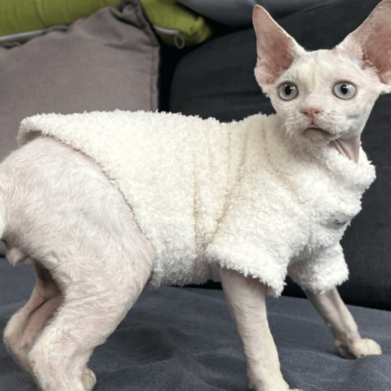 Fleece Cat Top Pullover Sphynx Clothes Soft Warm - PIKAPIKA