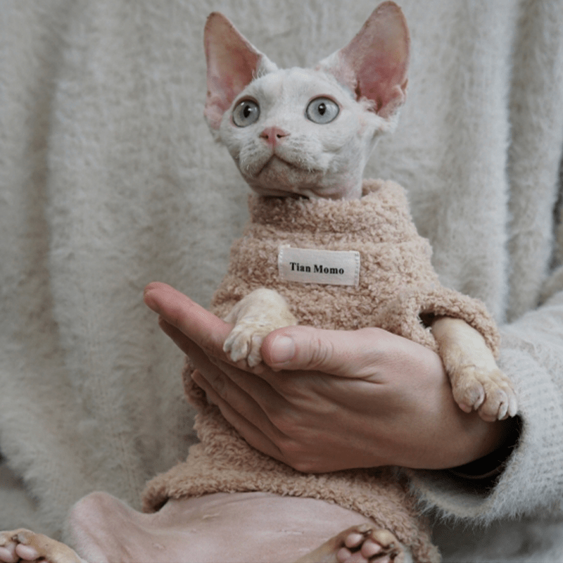 Fleece Cat Top Pullover Sphynx Clothes Soft Warm - PIKAPIKA
