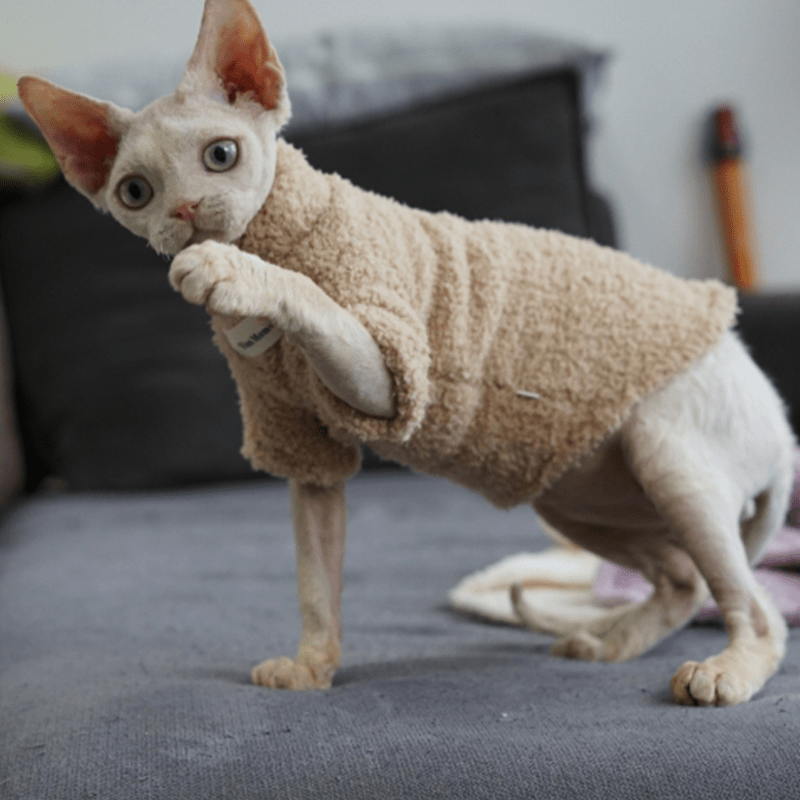 Fleece Cat Top Pullover Sphynx Clothes Soft Warm - PIKAPIKA