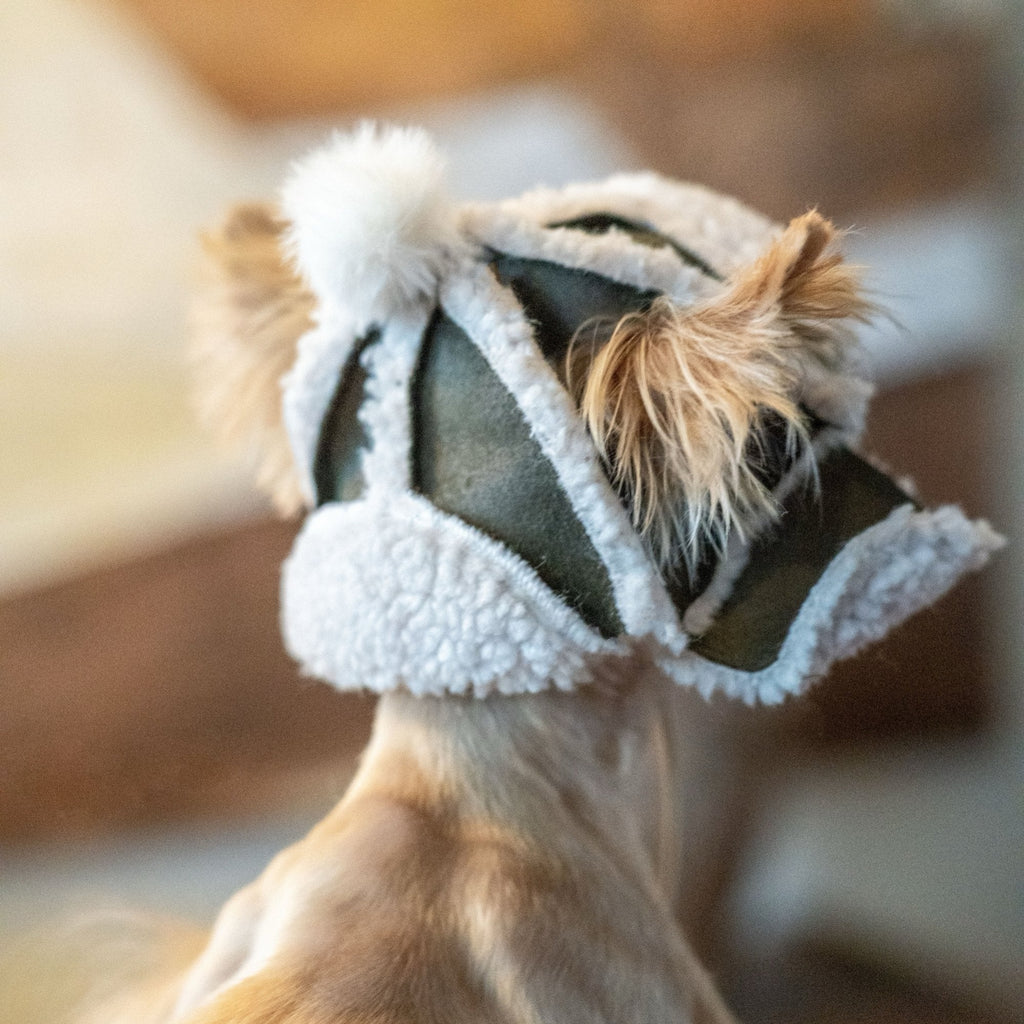 Fleece Lined Pilot Hat with Ear Holes for Toy Dogs - PIKAPIKA