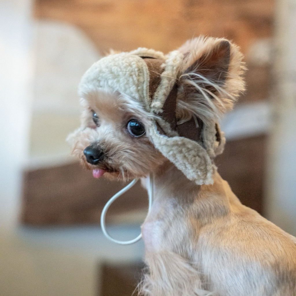 Fleece Lined Pilot Hat with Ear Holes for Toy Dogs - PIKAPIKA