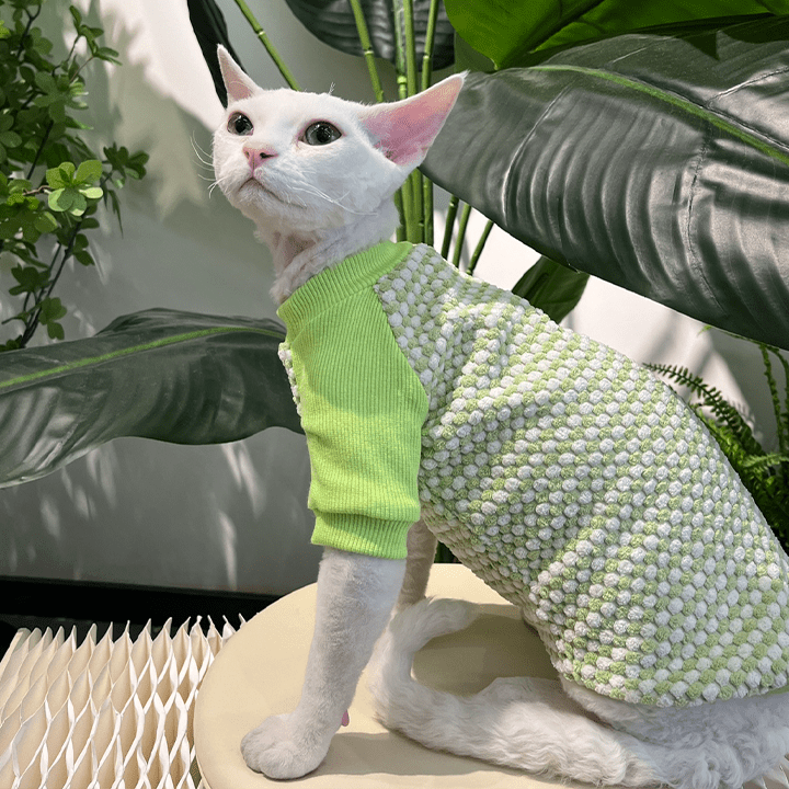 Fleece Lined Warm Stretch Outfit Devon & Sphynx Cat Clothes - PIKAPIKA