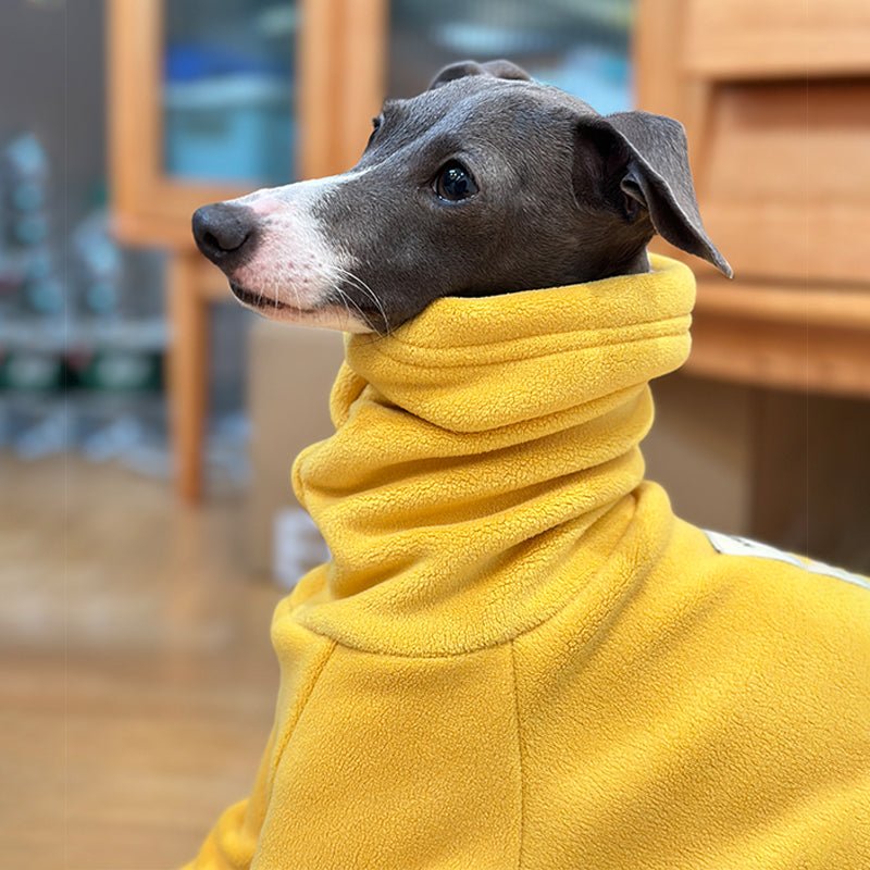 Fleece Onesies for Italian greyhound Whippet Dog Clothes - PIKAPIKA