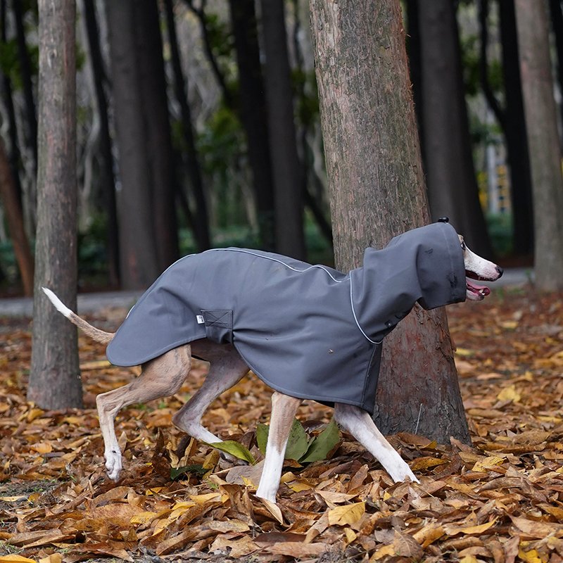 Fleece Raincoat Jacket for Italian greyhound Whippet - PIKAPIKA