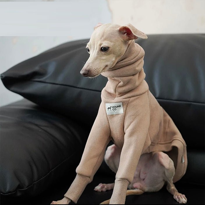 Fleece Shirts for Italian Greyhound Whippet Dog Clothes - PIKAPIKA