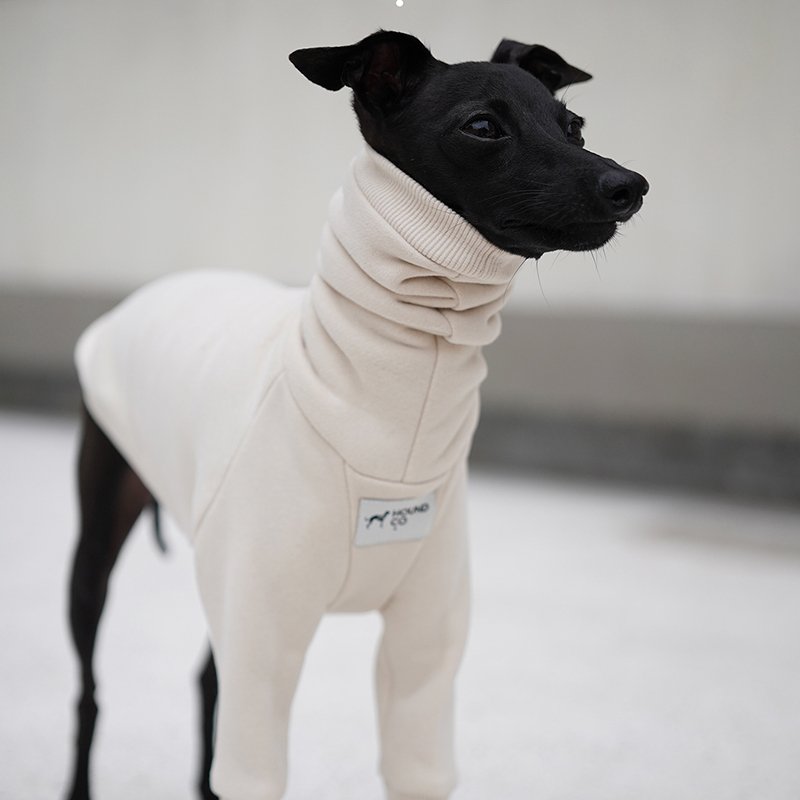 Stylish Italian Greyhound Clothes by PIKAPIKA Whippet Apparel