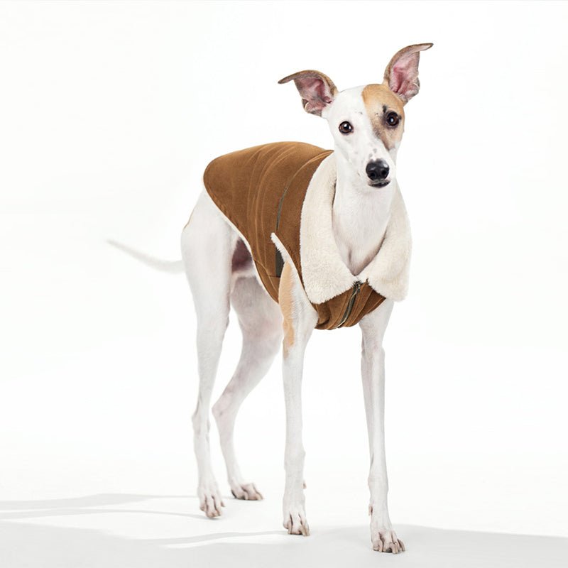 Fleece Suede Vest Jacket Italian Greyhound Whippet Dog Clothes - PIKAPIKA