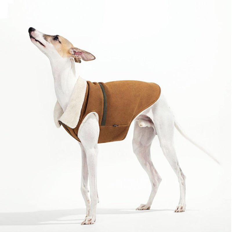 Fleece Suede Vest Jacket Italian Greyhound Whippet Dog Clothes - PIKAPIKA