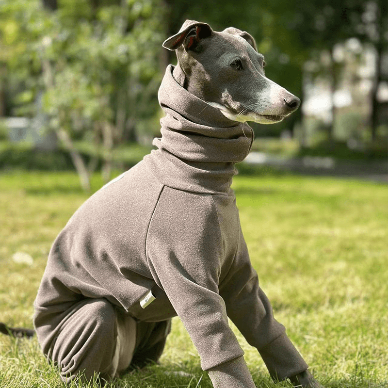 Fleece Warm Onesies Italian greyhound Dog Clothes Coffee - PIKAPIKA