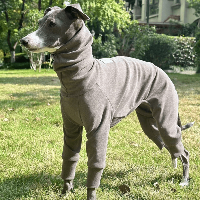 Fleece Warm Onesies Italian greyhound Dog Clothes Coffee - PIKAPIKA