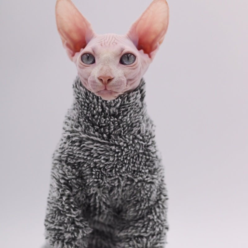 Fuzzy Warm Winter Clothes Sphynx Devon Rex Cat - PIKAPIKA