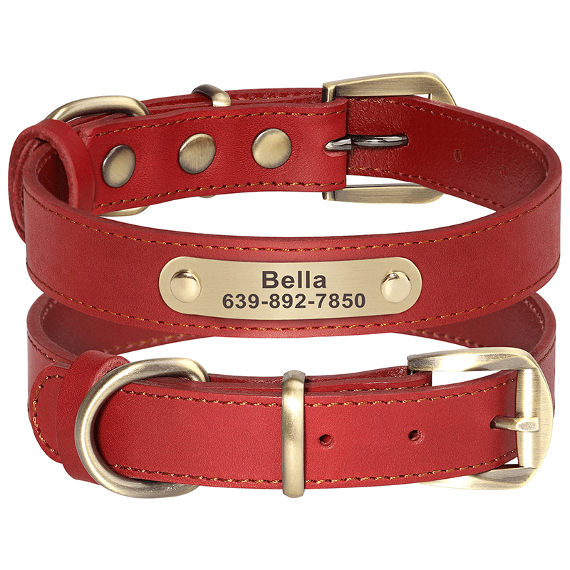 Genuine Leather Anti - Lost Engraved Dog Collar Custom ID Tag for Small Medium Dogs - PIKAPIKA