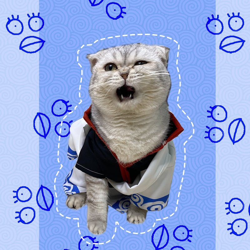 GINTAMA Sakata Gintoki Cat Costume Pet Cosplay Outfit - PIKAPIKA