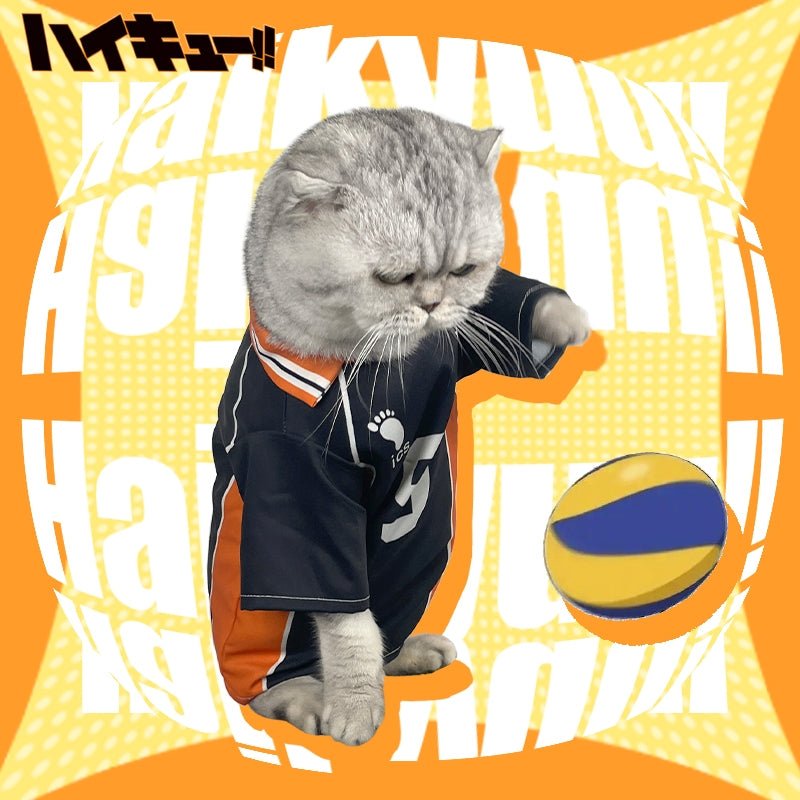 Haikyuu Tobio Kageyama Pet T-Shirt Cat Cosplay Volleyball Outfit - PIKAPIKA