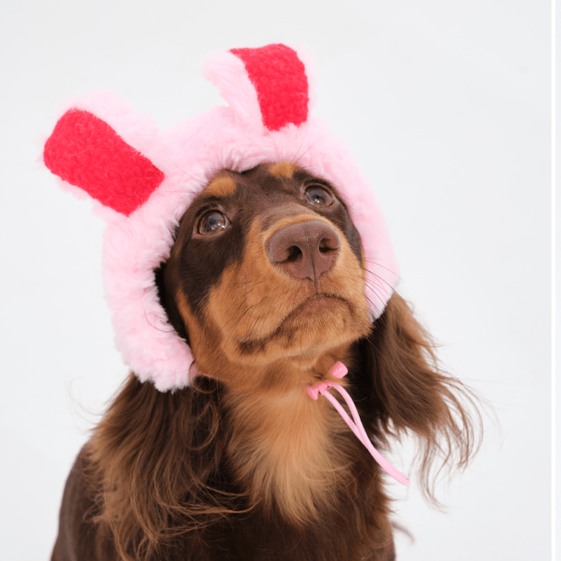 Halloween Bunny Fluffy Warm Hat Dachshund Dog - PIKAPIKA