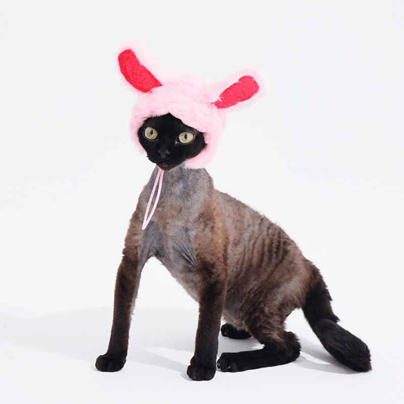 Halloween Bunny Warm Fluffy Hat Sphynx Cat - PIKAPIKA