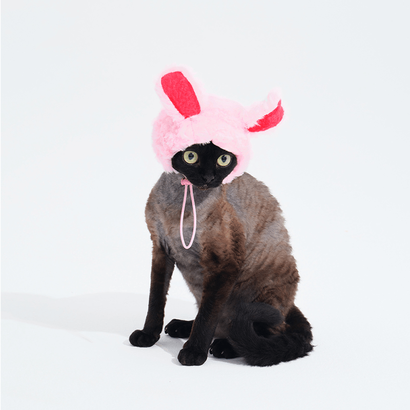 Halloween Bunny Warm Fluffy Hat Sphynx Cat - PIKAPIKA
