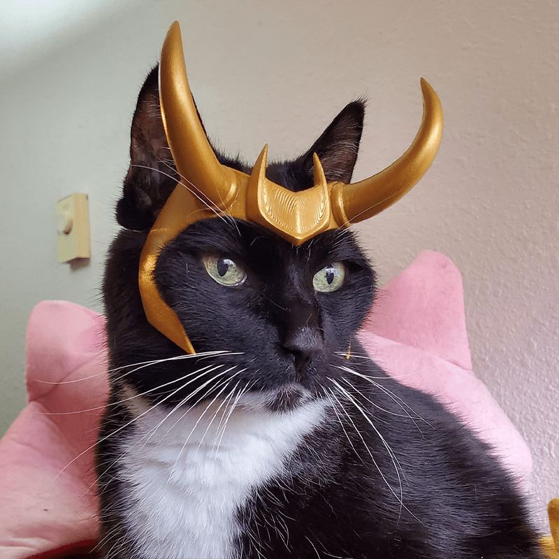 Halloween Costume Cat Headgear Mask Pet Helmet Prop - PIKAPIKA