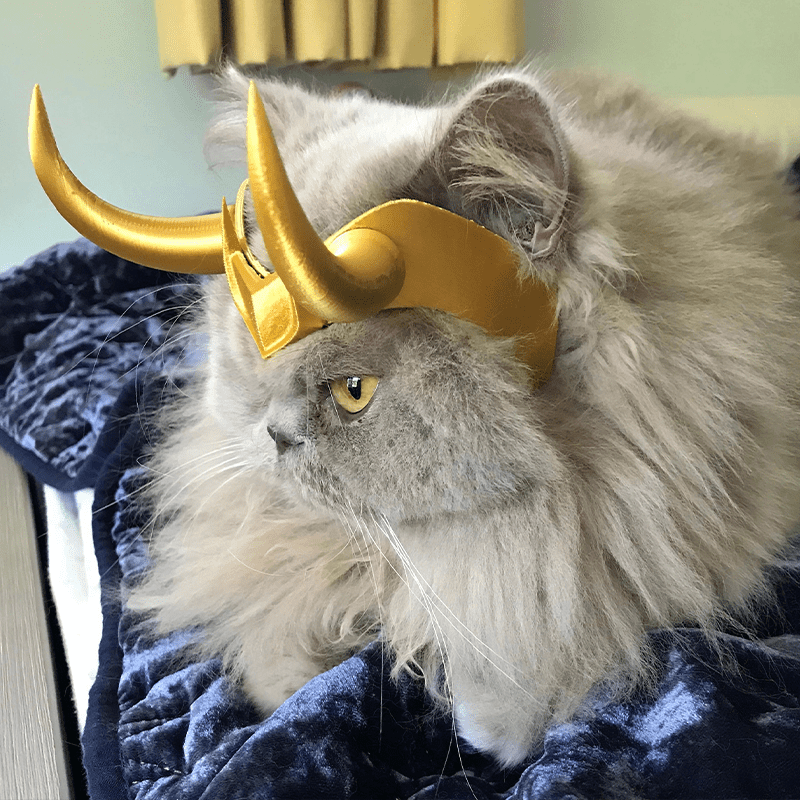 Halloween Costume Cat Headgear Mask Pet Helmet Prop - PIKAPIKA