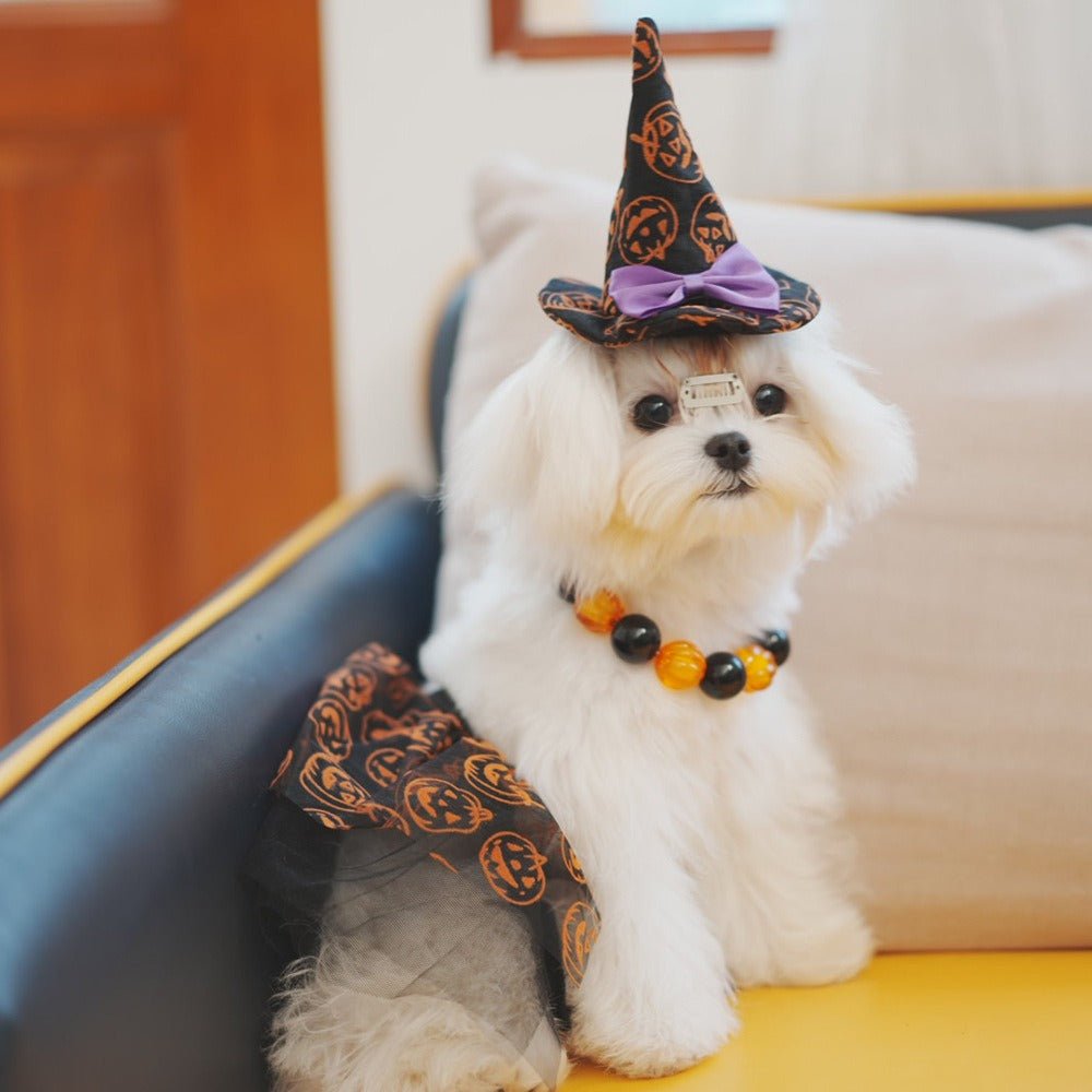 Halloween Dog Costumes Witch Cloak Wizard Hat - PIKAPIKA