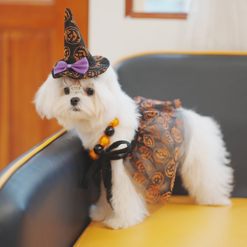 Halloween Dog Costumes Witch Cloak Wizard Hat - PIKAPIKA