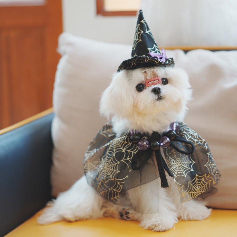 Halloween Dog Costumes Witch Cloak Wizard Hat - PIKAPIKA