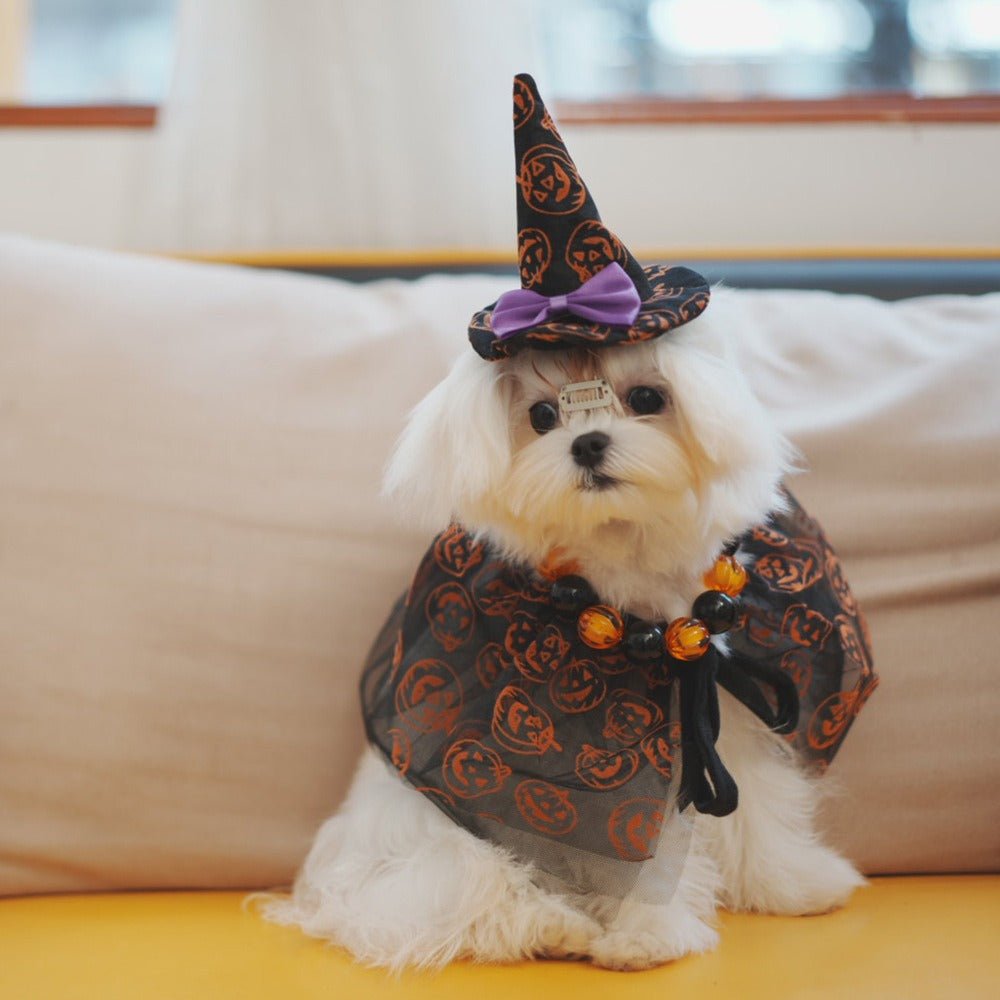 Halloween Dog Costumes Witch Cloak Wizard Hat - PIKAPIKA