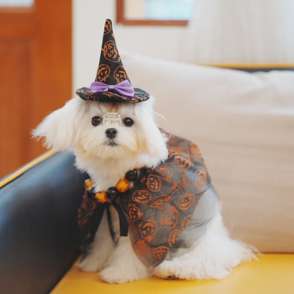 Halloween Dog Costumes Witch Cloak Wizard Hat - PIKAPIKA