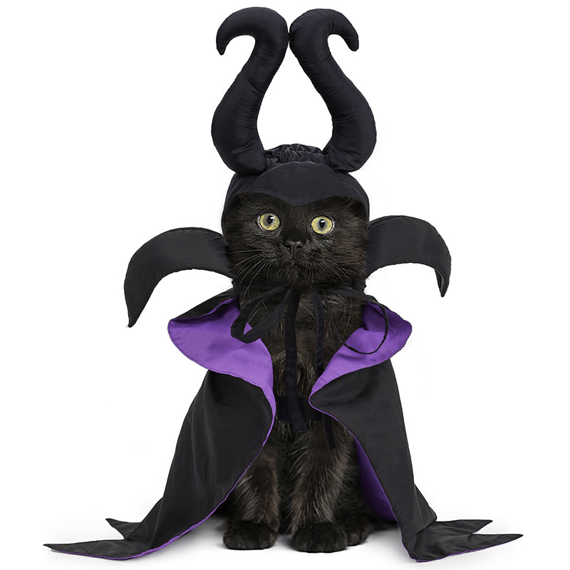 Halloween Maleficent Costume Pet Cloak Cat Funny Dress - Up Outfit - PIKAPIKA