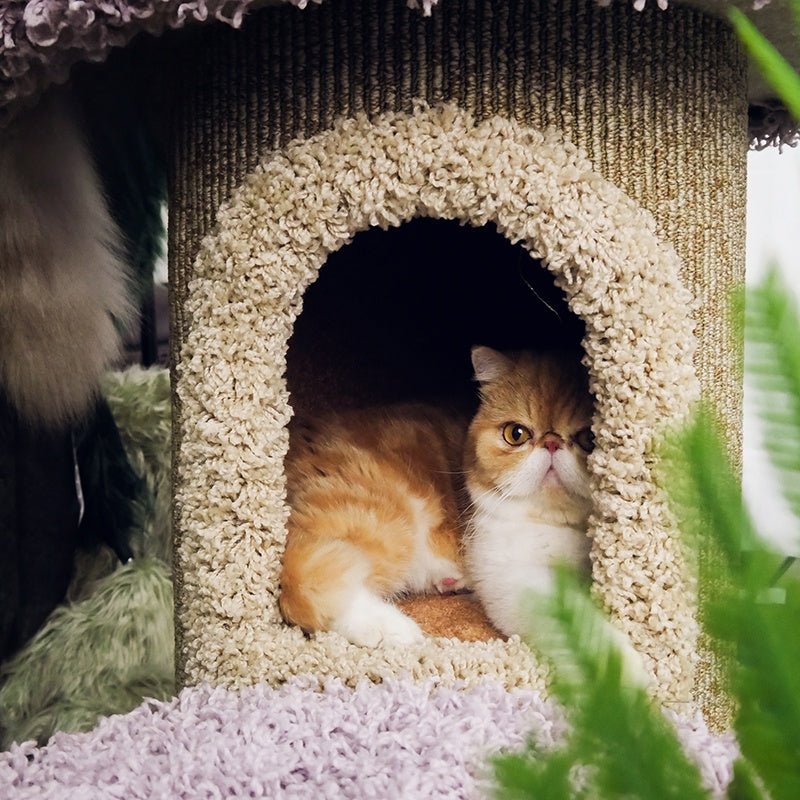 Halloween Mushroom Cat Tree House Plush Climbing Tower Cat Bed - PIKAPIKA