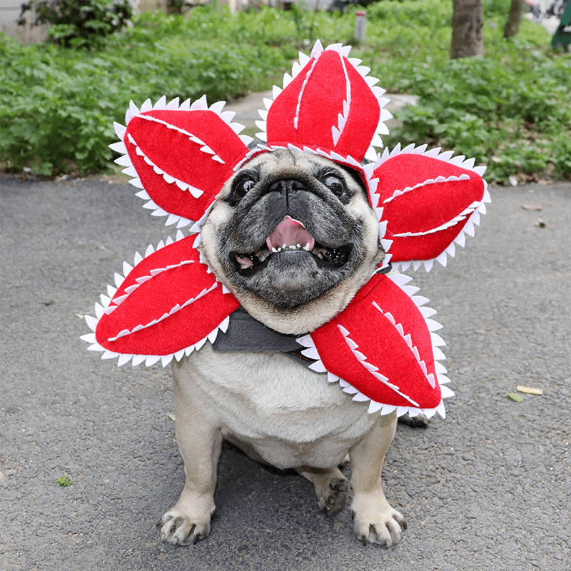 Halloween Piranha Plant Pet Headpiece Funny Costume Dog Hat - PIKAPIKA