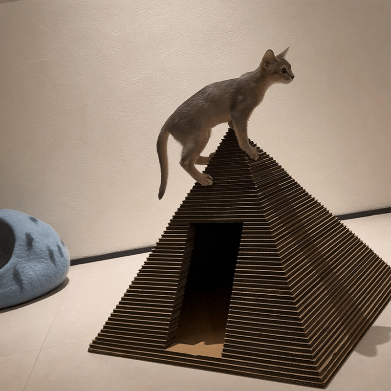 Halloween Pyramid Cat House Scratcher Durable Non - Shedding All - Season Cat Tower - PIKAPIKA