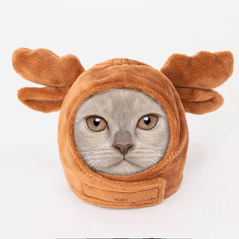 Halloween Snail Pet Costume Cute Dog Cat Outfit Funny Party Clothes - PIKAPIKA