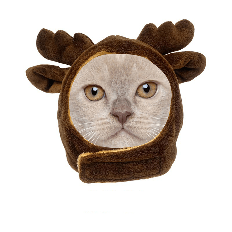Halloween Snail Pet Costume Cute Dog Cat Outfit Funny Party Clothes - PIKAPIKA