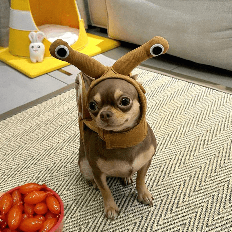 Halloween Snail Pet Costume Cute Dog Cat Outfit Funny Party Clothes - PIKAPIKA