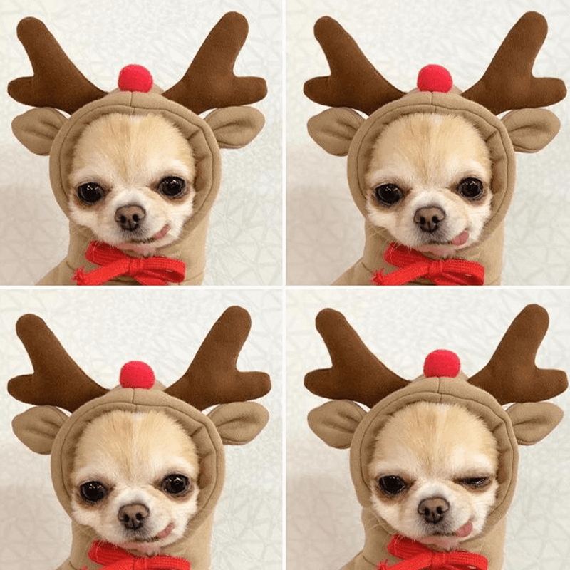 Halloween Snail Pet Costume Cute Dog Cat Outfit Funny Party Clothes - PIKAPIKA