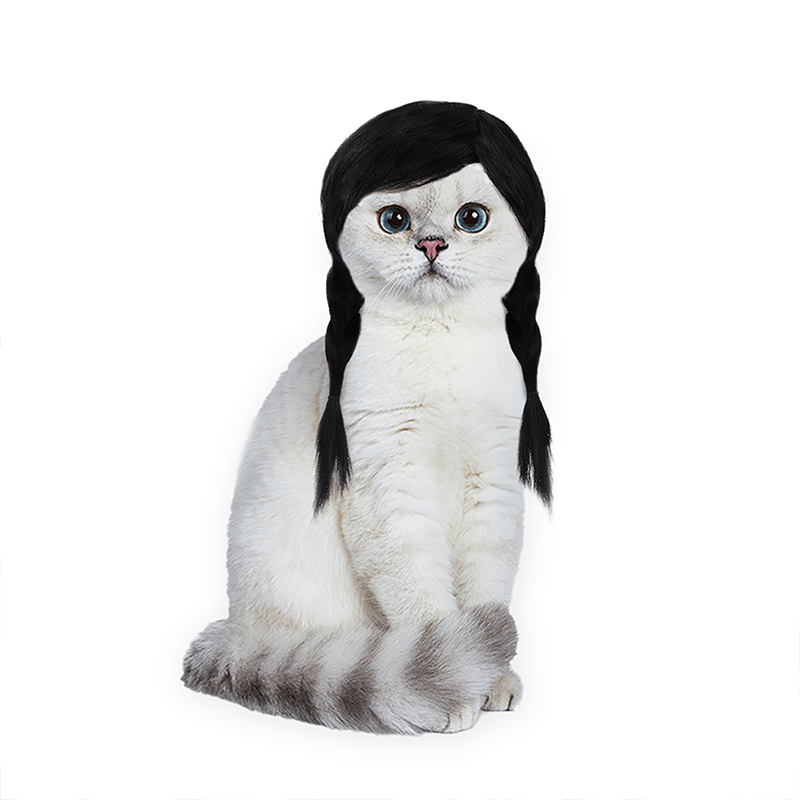 Halloween Wednesday Costumes Pet Wig Funny Cat Headpiece - PIKAPIKA