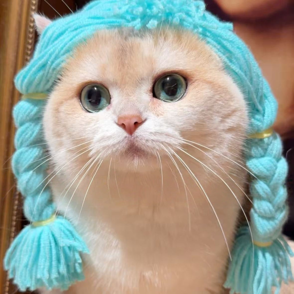 Halloween Wig Braided Yarn Pet Cosplay Funny Cat Costume - PIKAPIKA