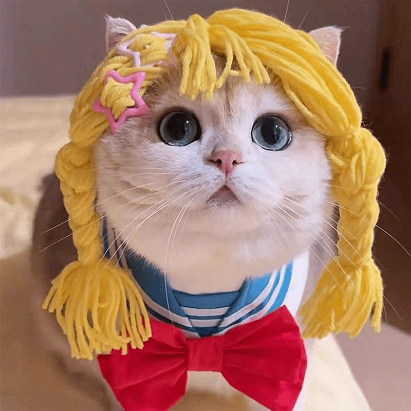 Halloween Wig Braided Yarn Pet Cosplay Funny Cat Costume - PIKAPIKA